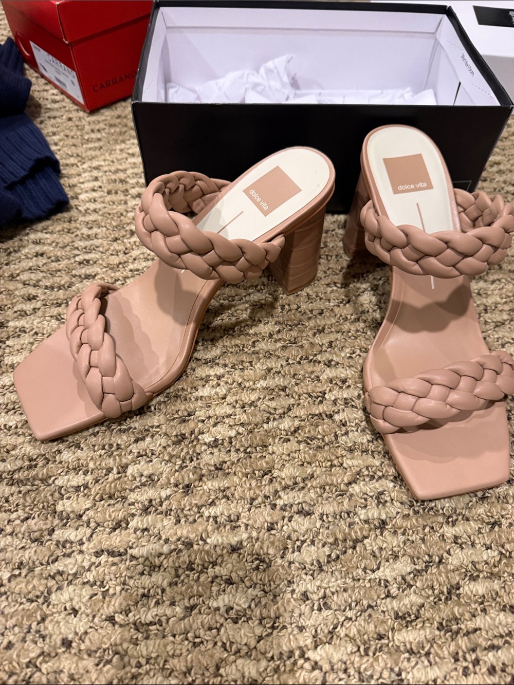 Dolce Vita Blush Braided Block Heel Mules